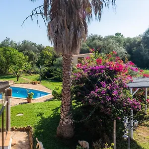 Pep Sineu (Mallorca)